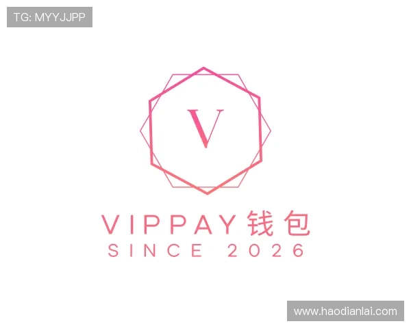 关于VipPay钱包
