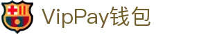 VipPay钱包 | 充值无痕 安全无忧
